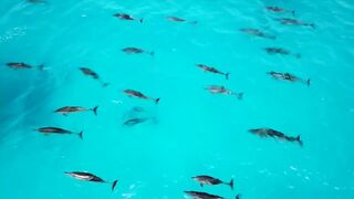 Marsa Alam, рифы и пляжи что посмотреть и когда лучше ехать