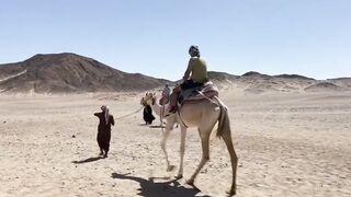 Marsa Alam, рифы и пляжи что посмотреть и когда лучше ехать