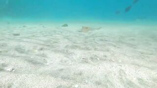 Marsa Alam, рифы и пляжи что посмотреть и когда лучше ехать