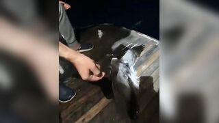 مرسى علم: три дня подряд на воде что получилось и стоит ли повторять?