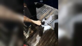 مرسى علم: три дня подряд на воде что получилось и стоит ли повторять?