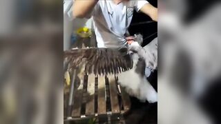 مرسى علم: три дня подряд на воде что получилось и стоит ли повторять?