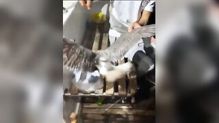 مرسى علم: три дня подряд на воде что получилось и стоит ли повторять?