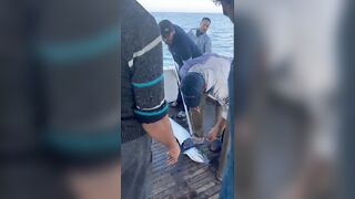 مرسى علم: три дня подряд на воде что получилось и стоит ли повторять?