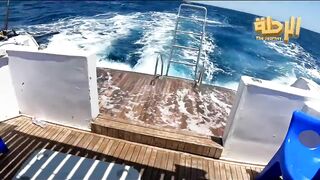 Marsa Alam: морская рыбалка в مرسي علم готовим наживку перед выходом