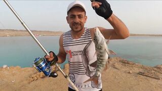 مصر: странная точка для ловли и почему ее считают лучшей