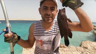 مصر: странная точка для ловли и почему ее считают лучшей