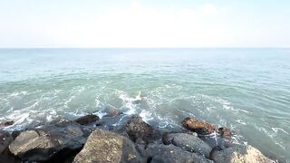 Рыбацкий рынок в деревне Шри-Ланки: свежий улов, море ароматов и истории рыбаков