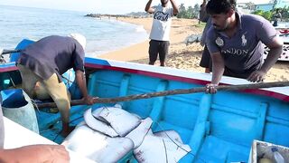 Рыбацкий рынок в деревне Шри-Ланки: свежий улов, море ароматов и истории рыбаков