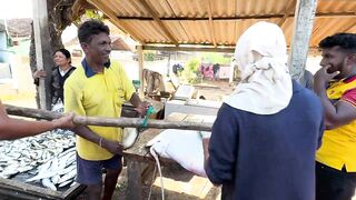 Рыбацкий рынок в деревне Шри-Ланки: свежий улов, море ароматов и истории рыбаков