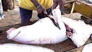 Рыбацкий рынок в деревне Шри-Ланки: свежий улов, море ароматов и истории рыбаков