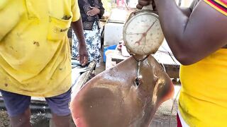 Рыбацкий рынок в деревне Шри-Ланки: свежий улов, море ароматов и истории рыбаков