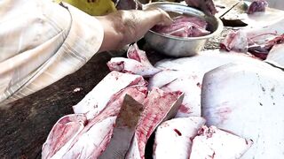 Рыбацкий рынок в деревне Шри-Ланки: свежий улов, море ароматов и истории рыбаков