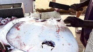 Рыбацкий рынок в деревне Шри-Ланки: свежий улов, море ароматов и истории рыбаков