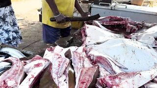 Рыбацкий рынок в деревне Шри-Ланки: свежий улов, море ароматов и истории рыбаков