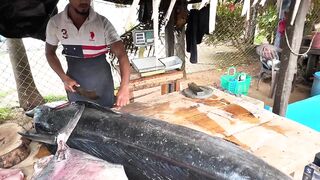 Рыбацкий рынок в деревне Шри-Ланки: свежий улов, море ароматов и истории рыбаков