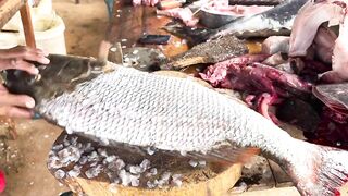 Рыбацкий рынок в деревне Шри-Ланки: свежий улов, море ароматов и истории рыбаков