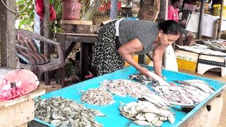 Рыбацкий рынок в деревне Шри-Ланки: свежий улов, море ароматов и истории рыбаков