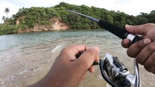 морская рыбалка на Weligama beach Sri Lanka много видов с одного тропического берега