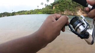 морская рыбалка на Weligama beach Sri Lanka много видов с одного тропического берега