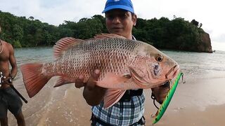 морская рыбалка на Weligama beach Sri Lanka много видов с одного тропического берега