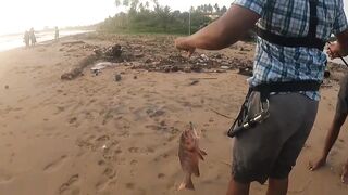 морская рыбалка на Weligama beach Sri Lanka много видов с одного тропического берега