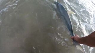 морская рыбалка на Weligama beach Sri Lanka много видов с одного тропического берега