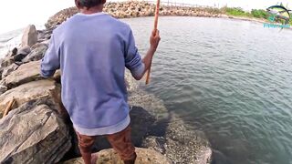 Морская рыбалка в Шри-Ланке с бамбуковой удочкой, трофейная рыба и старая школа