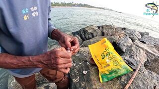 Морская рыбалка в Шри-Ланке с бамбуковой удочкой, трофейная рыба и старая школа