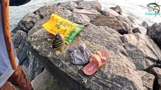 Морская рыбалка в Шри-Ланке с бамбуковой удочкой, трофейная рыба и старая школа