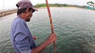 Морская рыбалка в Шри-Ланке с бамбуковой удочкой, трофейная рыба и старая школа