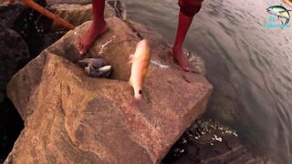 Морская рыбалка в Шри-Ланке с бамбуковой удочкой, трофейная рыба и старая школа