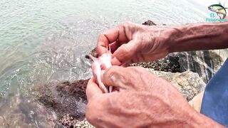 Морская рыбалка в Шри-Ланке с бамбуковой удочкой, трофейная рыба и старая школа