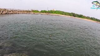 Морская рыбалка в Шри-Ланке с бамбуковой удочкой, трофейная рыба и старая школа