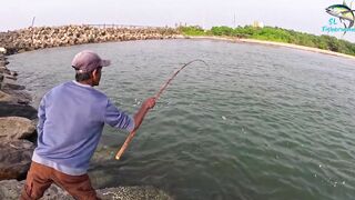 Морская рыбалка в Шри-Ланке с бамбуковой удочкой, трофейная рыба и старая школа