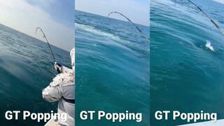 морская рыбалка в/на Sri Lanka - GT popping и путешествие одним роликом