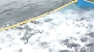 Рыбалка в Шри-Ланке совсем другая: индийский океан, волны и сильная прибрежная рыба