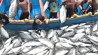 Рыбалка в Шри-Ланке совсем другая: индийский океан, волны и сильная прибрежная рыба