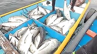 Рыбалка в Шри-Ланке совсем другая: индийский океан, волны и сильная прибрежная рыба