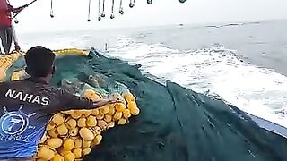 Рыбалка в Шри-Ланке совсем другая: индийский океан, волны и сильная прибрежная рыба