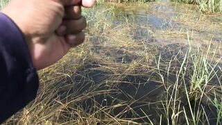 Snake Head Fishing Sri Lanka где искать змееголова и какую приманку он ест