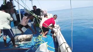 Bluefin tuna hunting далеко в океане как они ловят рыбу которая приносит доллары
