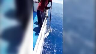 Bluefin tuna hunting далеко в океане как они ловят рыбу которая приносит доллары
