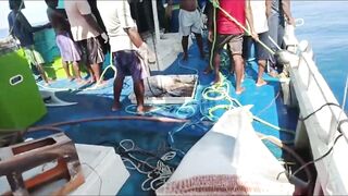 Bluefin tuna hunting далеко в океане как они ловят рыбу которая приносит доллары