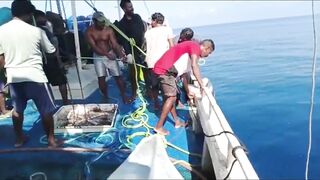 Bluefin tuna hunting далеко в океане как они ловят рыбу которая приносит доллары