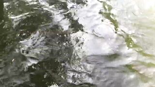 වීසි දැල්ලෙන් මාලු ඇල්ලිම как ловят бросковой сетью и что попадается чаще