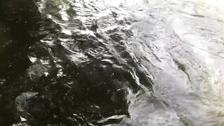 වීසි දැල්ලෙන් මාලු ඇල්ලිම как ловят бросковой сетью и что попадается чаще