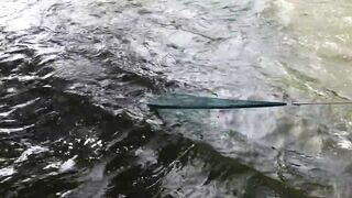 වීසි දැල්ලෙන් මාලු ඇල්ලිම как ловят бросковой сетью и что попадается чаще