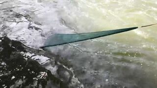 වීසි දැල්ලෙන් මාලු ඇල්ලිම как ловят бросковой сетью и что попадается чаще