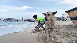 The Fishing Village Of El Max в Alexandria, Egypt как там живут и что продают утром